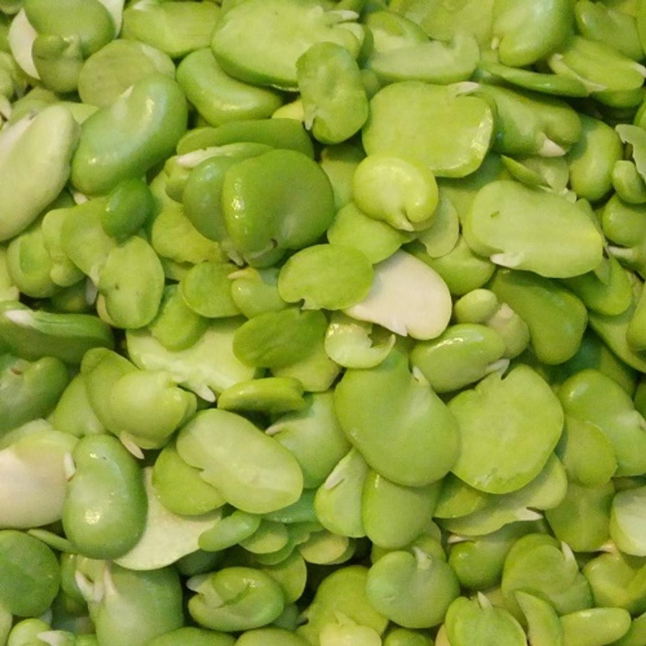 Fava Beans